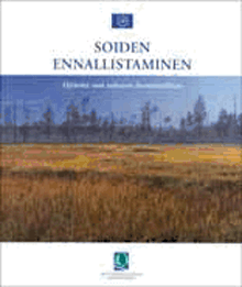 soidenennallistaminen