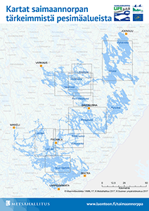 norpan suojelualueet kartta Saimaannorpan tärkeimmät pesimäalueet | julkaisut.metsa.fi