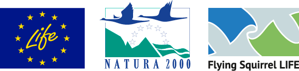 Life, Natura 2000 and Flying Squirrel LIFE logos.